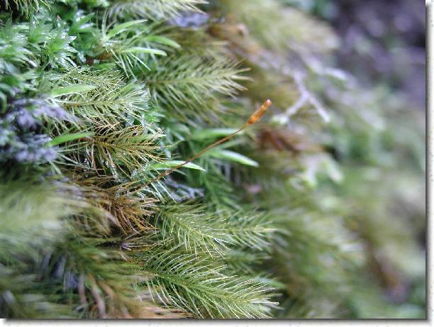 Next slide