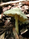 P9170127 * 1075 x 1434 * (162KB)