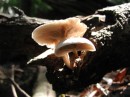 P9180012 * 1434 x 1075 * (162KB)